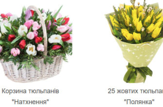 тюльпаны в Киеве